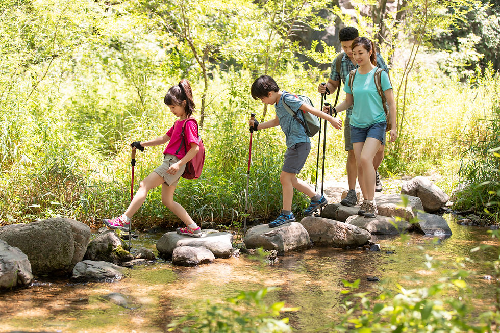 Two children and two adults hold hiking poles and step on stones on the bank of a stream