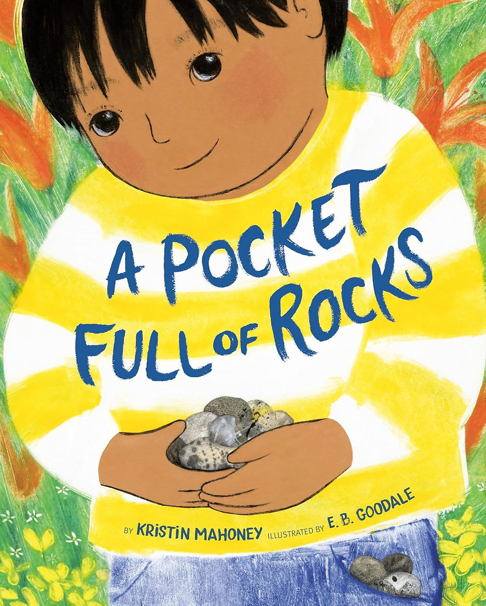 The cover of the book A Pocket Full of Rocks. An illustration of a boy who holds a pile of rocks and looks out at the reader.