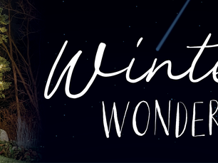 Winter Wonder Library