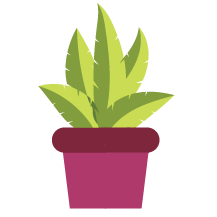 Icon of plant